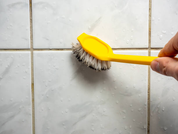 Certified Mold Removal in Manchester, OH
