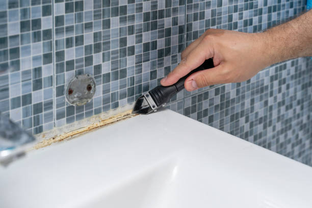Best Mold Removal Specialists  in Manchester, OH